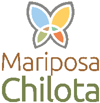mariposa chilota